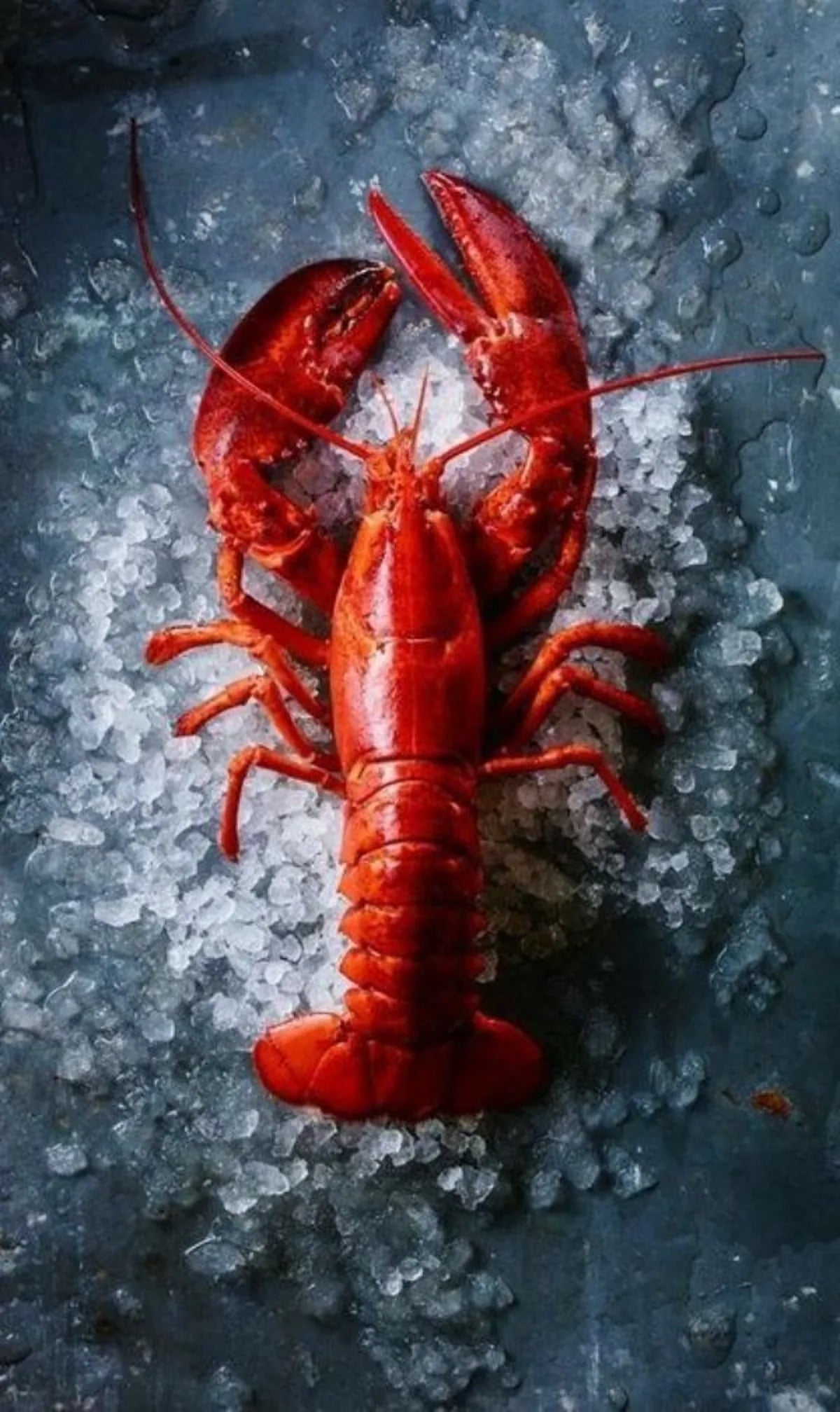Mariscos