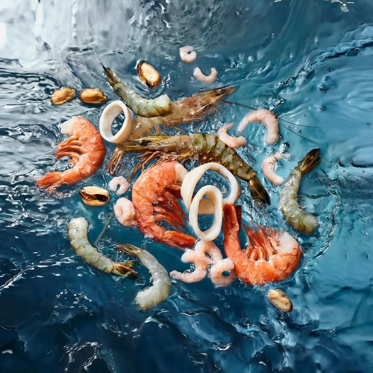 Congelados & Pulpo