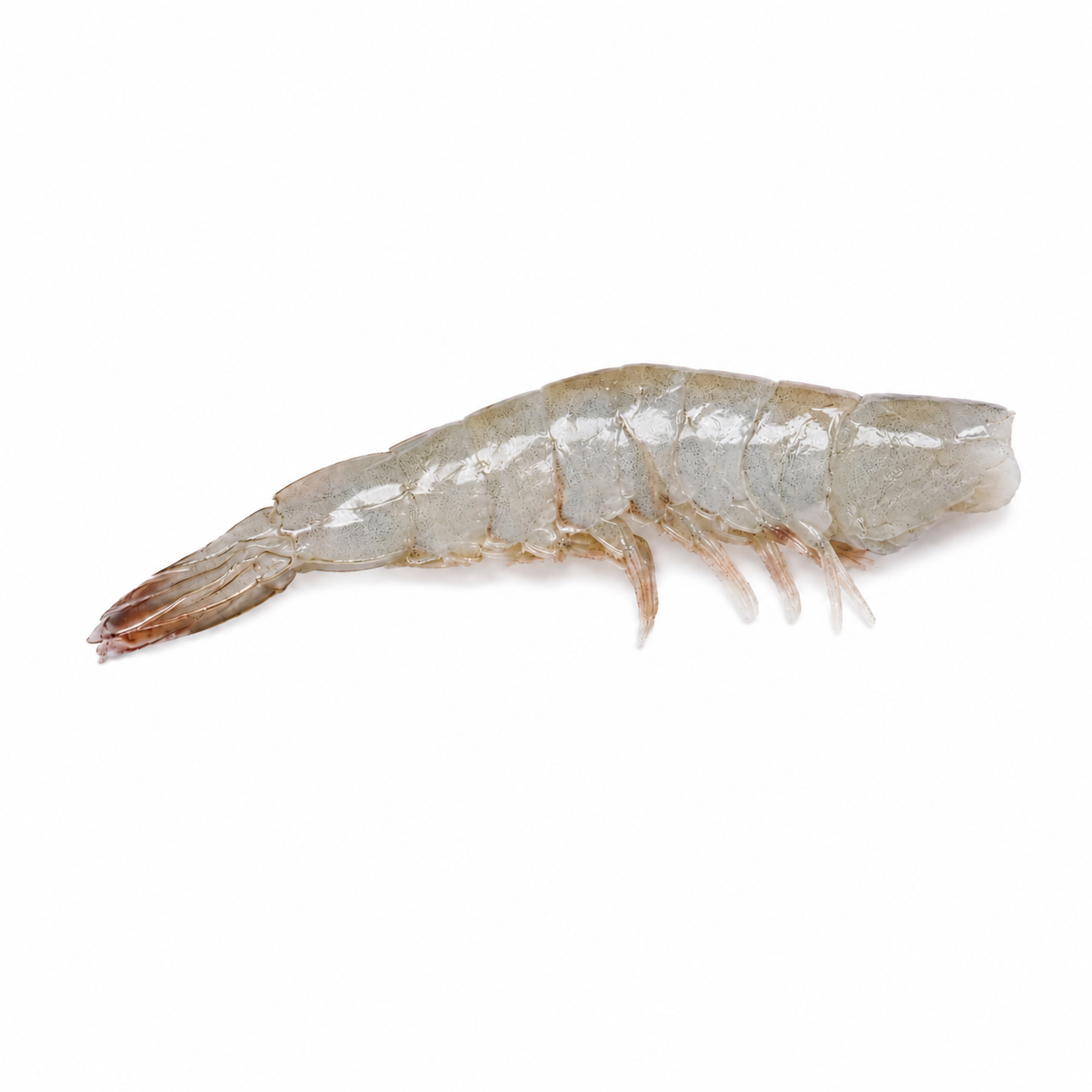 Cola de langostino