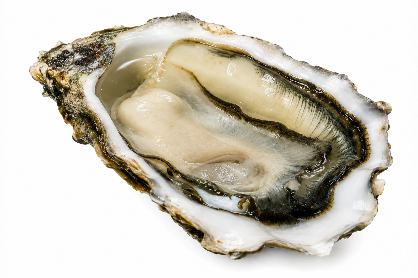 Ostra Nº1