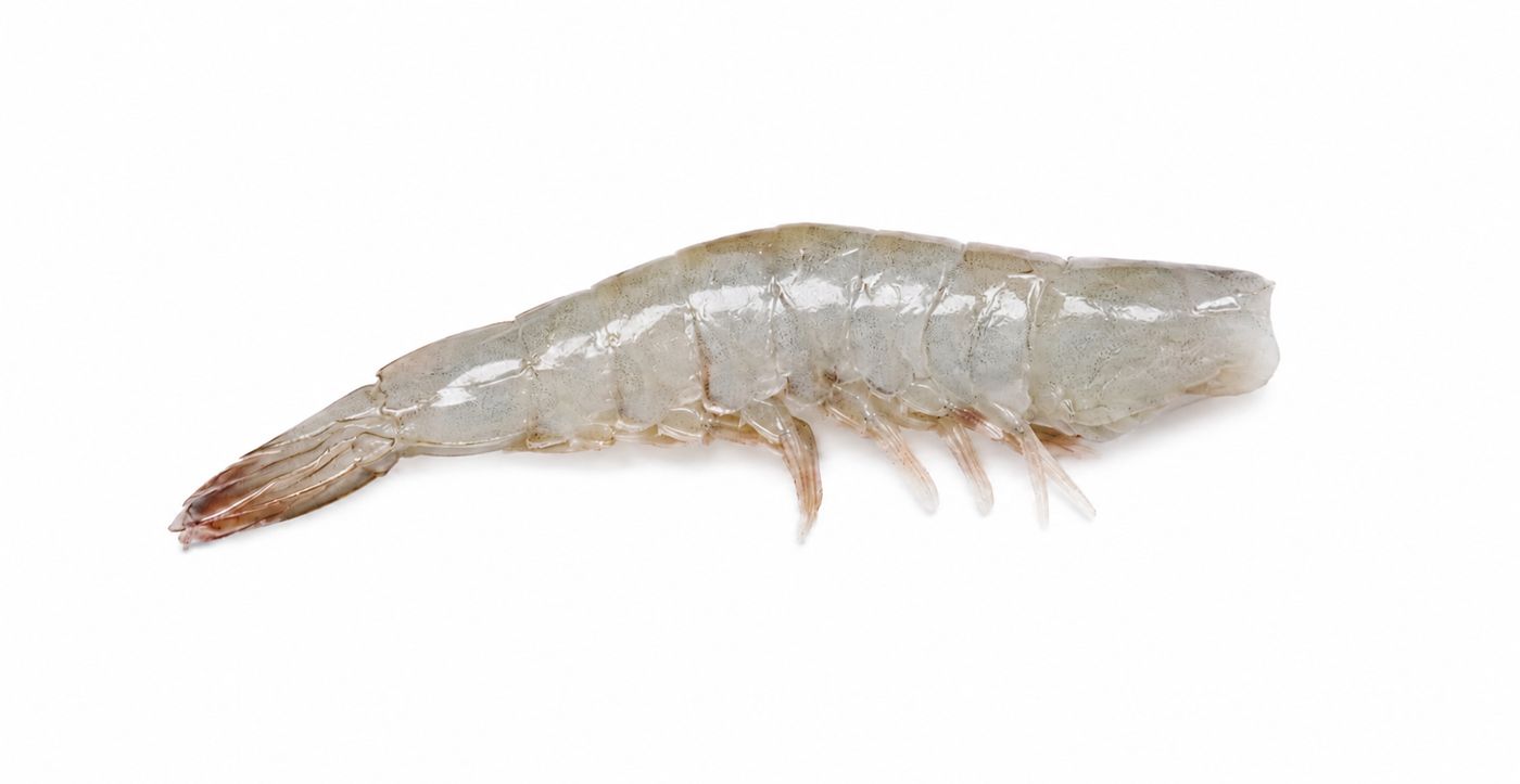 Cola de langostino