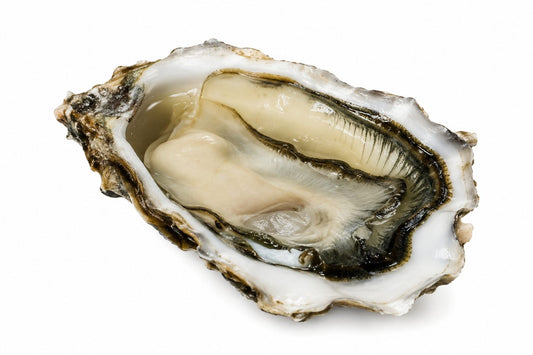 Ostra Nº2