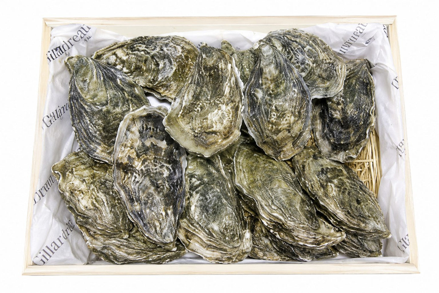 Ostra Nº2