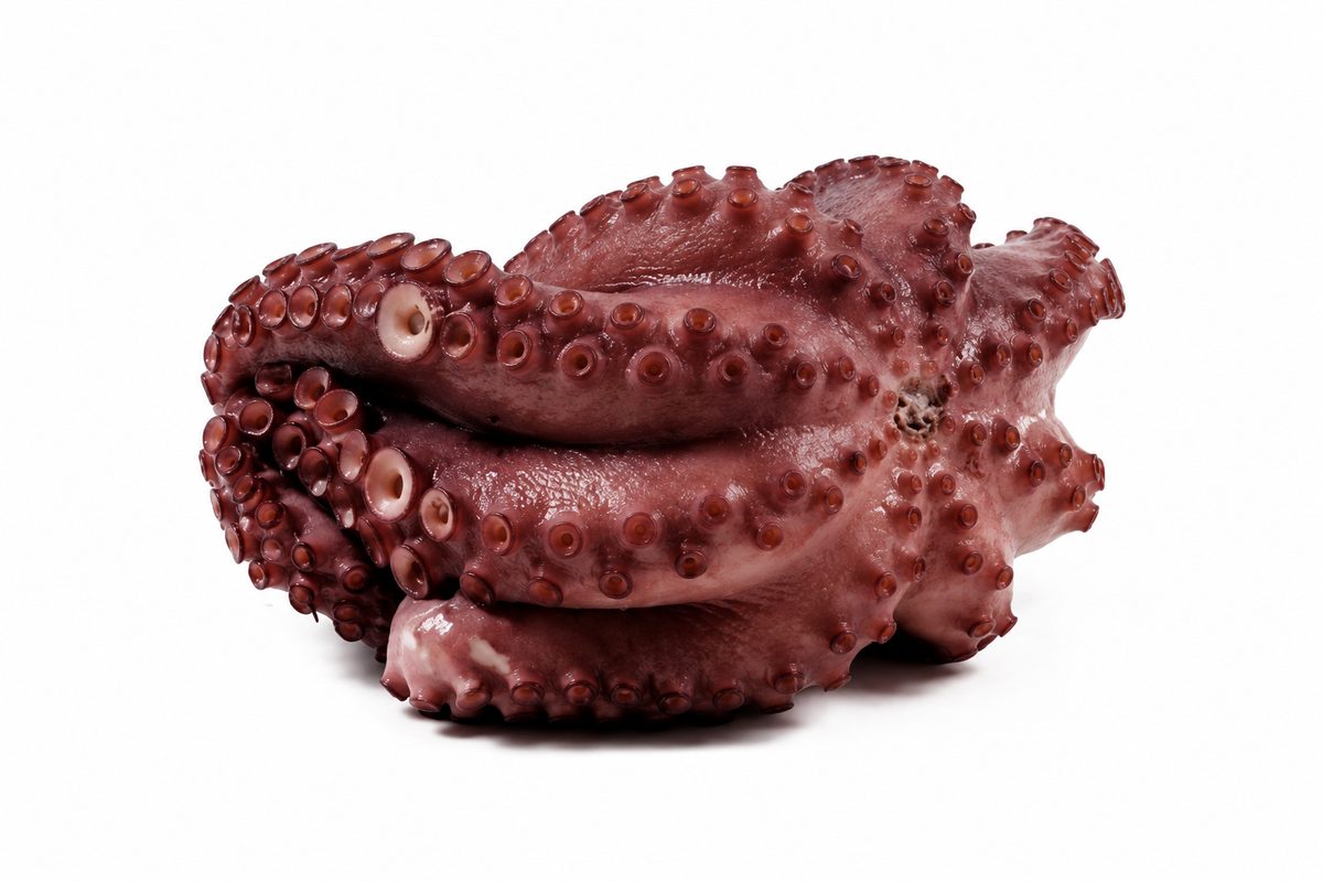 Pulpo cocido